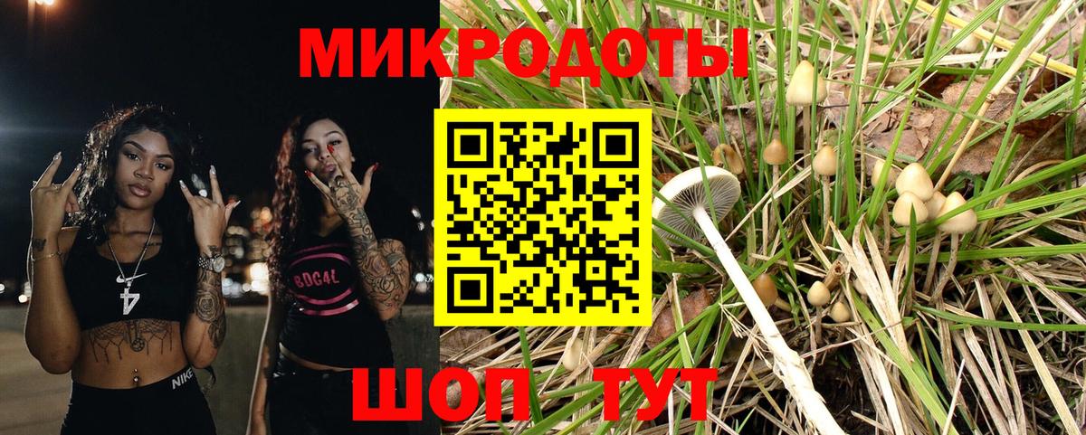Чехов  магазин    Вход с VPN  Псилоцибиновые грибы мицелий 